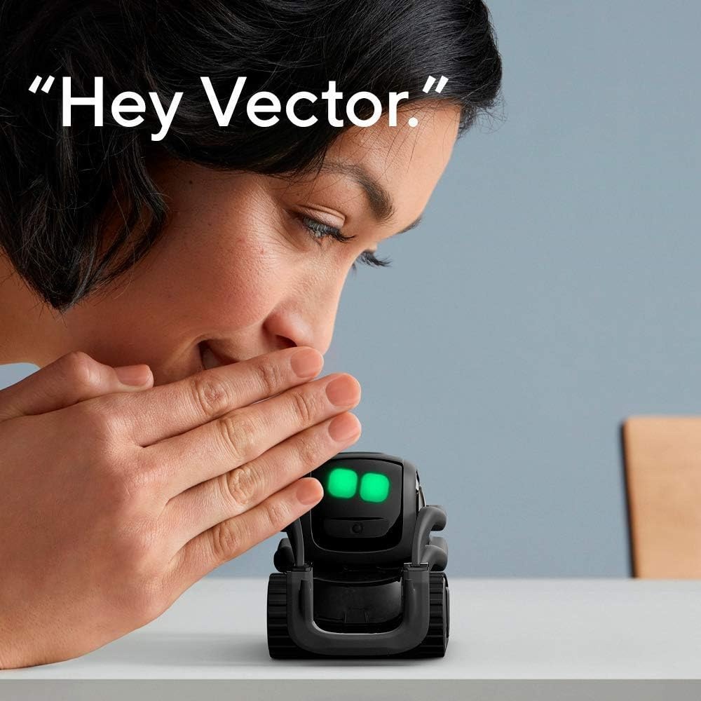 Robot Towarzysz AI ChatGPT 2.0 – Smart Home Battery Camera recenzja i cena